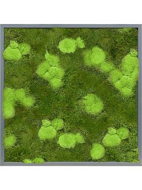 Картина из мха mdf ral 7016 satin gloss 30% ball- and 70% flat moss Картина из мха mdf ral 7016 satin gloss 30% ball- and 70% flat moss