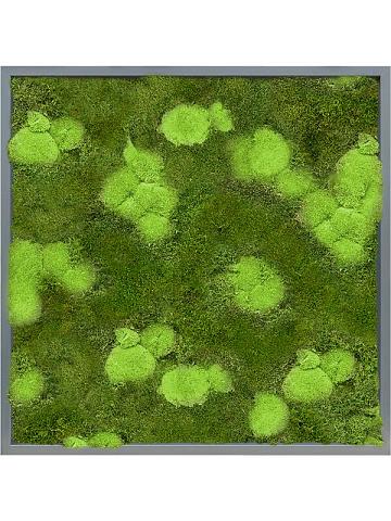Картина из мха mdf ral 7016 satin gloss 30% ball- and 70% flat moss Картина из мха mdf ral 7016 satin gloss 30% ball- and 70% flat moss