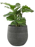 Кашпо Esra pot mystic grey D36 H32 см