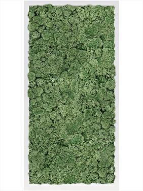 Картина из мха mdf ral 9010 satin gloss 100% reindeer moss (moss green) Картина из мха mdf ral 9010 satin gloss 100% reindeer moss (moss green)