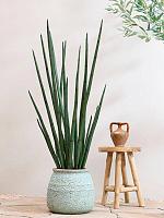 Кашпо Mediterranean hestia s, rustic green D32 H28 см