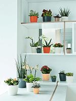 Кашпо Brussels® round mini anthracite D7 H6 см