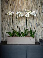 Кашпо Fiberstone balcony xl, taupe L80 W20 H20 см