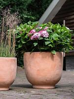 Кашпо Terra cotta kevin pot terra D55 H50 см