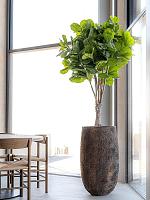 Кашпо Oyster tarb xl imperial brown D50 H90 см