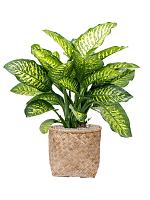 Кашпо Bohemian zayn xs bamboo D46 H42 см Кашпо Bohemian zayn xs bamboo D46 H42 см