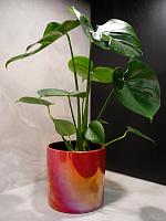 Кашпо Jille pot red D16 H15 см Кашпо Jille pot red D16 H15 см