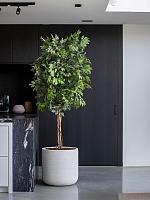 Кашпо Urban jumbo charlie xxs ivory washed D53 H52 см