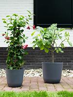 Кашпо Palermo pot grey D40 H36 см Кашпо Palermo pot grey D40 H36 см