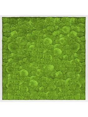 Картина из мха mdf ral 9010 satin gloss 100% ball moss Картина из мха mdf ral 9010 satin gloss 100% ball moss