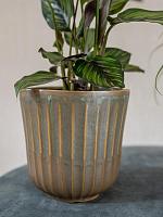 Кашпо Roger pot thyme D14 H14 см