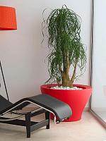 Кашпо Centro alto basic high centre D80 H50 см