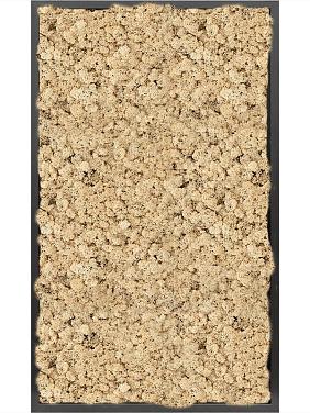 Картина из мха mdf ral 9005 satin gloss 100% reindeer moss (natural) Картина из мха mdf ral 9005 satin gloss 100% reindeer moss (natural)