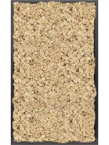 Картина из мха mdf ral 9005 satin gloss 100% reindeer moss (natural) Картина из мха mdf ral 9005 satin gloss 100% reindeer moss (natural)