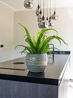 Кашпо Manuel pot shiny thyme D25 H21 см