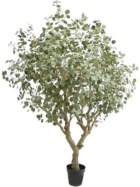 Эвкалипт искусственный