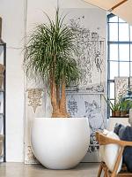 Кашпо Fiberstone jumbo orb m matt white D110 H93 см