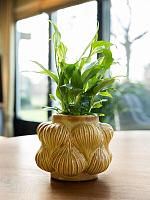 Кашпо Sanah pot mustard D16 H13 см Кашпо Sanah pot mustard D16 H13 см