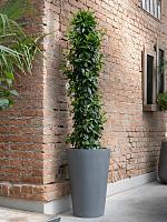 Кашпо Fiberstone belle m grey D47 H70 см