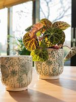 Кашпо Emilia pot green D11 H11 см