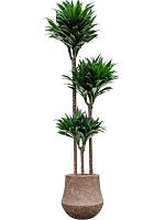 Кашпо Baq polystone coated plain darcy rock D33 H33 см