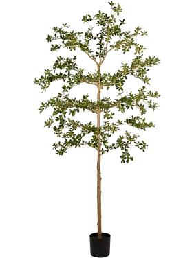 Буцида искусственная