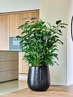 Кашпо Baq terrazzo balloon black D53 H56 см