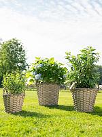 Кашпо Aria pot natural D36 H40 см Кашпо Aria pot natural D36 H40 см