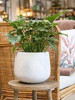 Кашпо Fiberstone kevan m matt white D26 H22 см