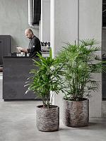 Кашпо Baq luxe lite universe wrinkle cylinder bronze D33 H31 см Кашпо Baq luxe lite universe wrinkle cylinder bronze D33 H31 см