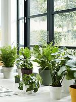 Кашпо B. for original round living black D22 H20.3 см