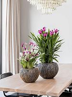 Кашпо Baq luxe lite universe waterfall globe bronze D33 H24 см Кашпо Baq luxe lite universe waterfall globe bronze D33 H24 см