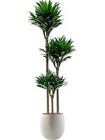 Кашпо Grigio balloon antique white D30 H30 см