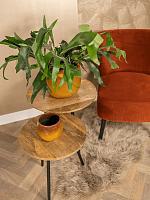 Кашпо Charlotte pot ochre D19 H16 см Кашпо Charlotte pot ochre D19 H16 см