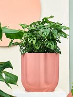 Кашпо Vibes fold round delicate pink D30 H27 см