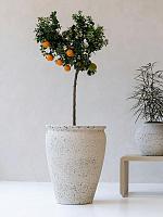 Кашпо Mediterranean artemis l chalk white D53 H68 см