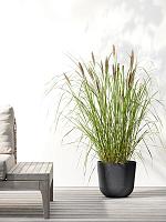 Кашпо Ecopots oslo 25 dark grey D25 H22 см