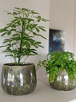 Кашпо Odile pot green D10 H8 см