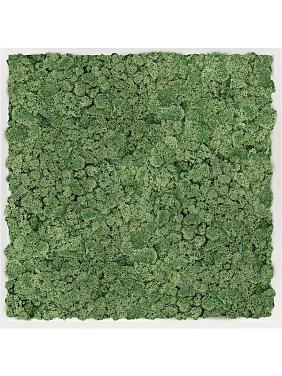 Картина из мха mdf ral 9010 satin gloss 100% reindeer moss moss green Картина из мха mdf ral 9010 satin gloss 100% reindeer moss moss green