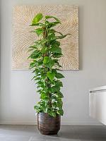 Кашпо Sanna pot savana D33 H30 см