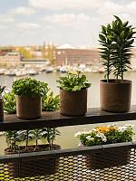 Кашпо Artstone claire balcony oak L55 W16 H17 см