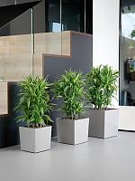 Кашпо Baq ecoline rise regular cube L41 W41 H40 см