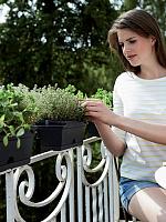 Кашпо Green basics trough mini living black L12 W30 H11 см