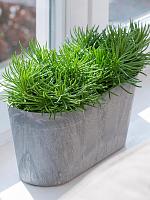 Кашпо Artstone claire balcony grey L55 W16 H17 см Кашпо Artstone claire balcony grey L55 W16 H17 см