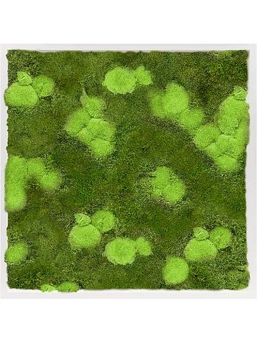 Картина из мха mdf ral 9010 satin gloss 30% ball- and 70% flat moss