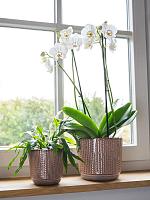 Кашпо Cille pot old pink D17 H15 см