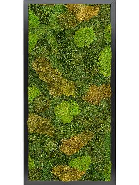Картина из мха mdf ral 9005 satin gloss 20% flat and 80% exclusive moss (mix)
