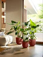 Кашпо Jazz round tuscan red D35 H32 см