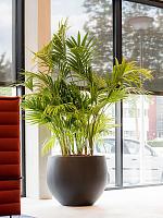 Кашпо Fiberstone jumbo orb s black D87 H73 см