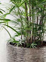 Кашпо Baq luxe lite universe wrinkle cylinder bronze D33 H31 см Кашпо Baq luxe lite universe wrinkle cylinder bronze D33 H31 см